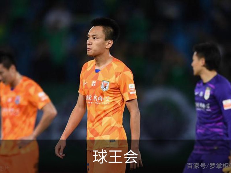 关于球王会